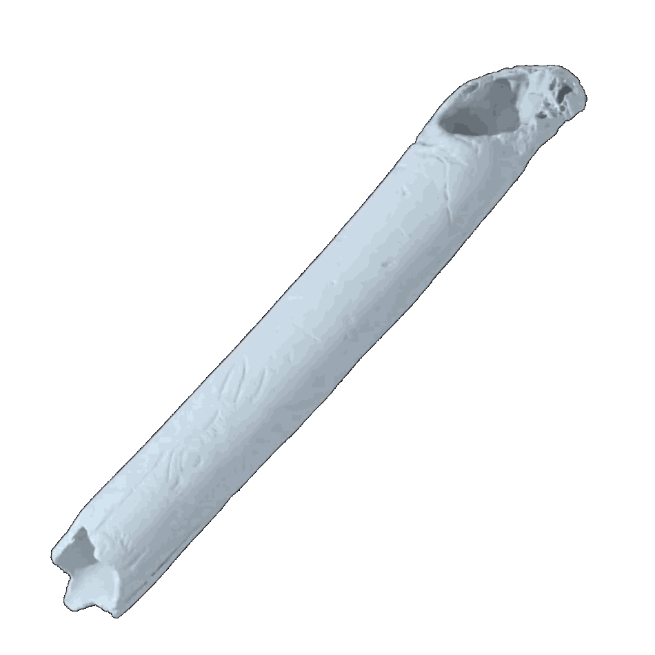 Bone GIF